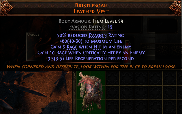 Bristleboar Leather Vest#17622