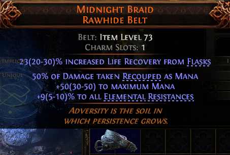 Midnight Braid Rawhide Belt#487465
