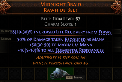 Midnight Braid Rawhide Belt#914459