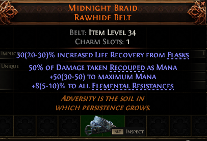 Midnight Braid Rawhide Belt#564936