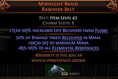 Midnight Braid Rawhide Belt#557063