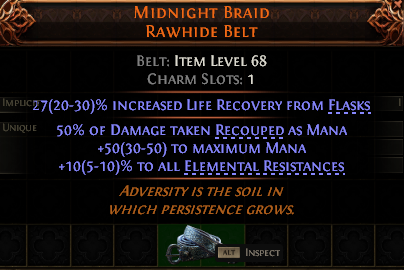 Midnight Braid Rawhide Belt#427360