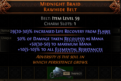 Midnight Braid Rawhide Belt#819423