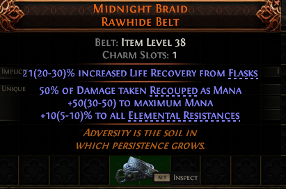 Midnight Braid Rawhide Belt#329319