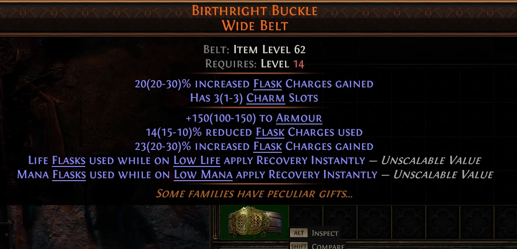 BIRTHRIGHT BUCKLE WIDE BELT