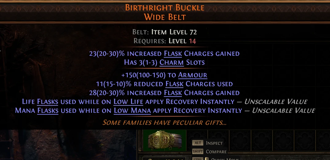 BIRTHRIGHT BUCKLE WIDE BELT
