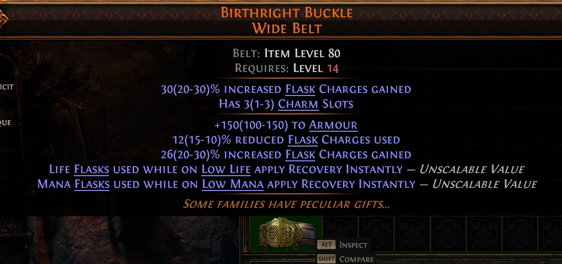 BIRTHRIGHT BUCKLE WIDE BELT