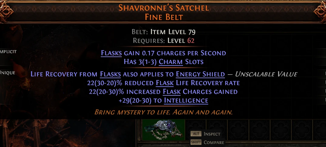 SHAVRONNE'S SATCHEL FINE BELT