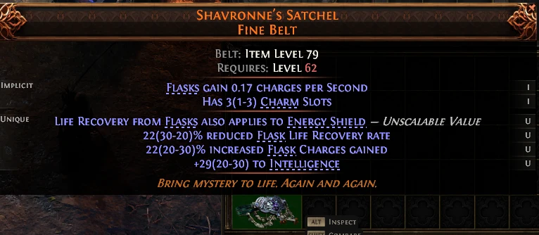 SHAVRONNE'S SATCHEL FINE BELT