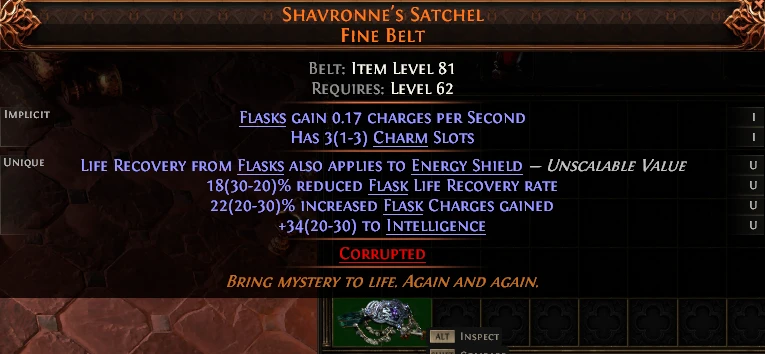 SHAVRONNE'S SATCHEL FINE BELT