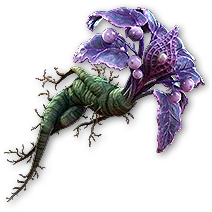 Amor Mandragora Changeling Talisman
